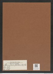 Asteromphalus flabellatus (Breb.) Grev. (de-Toni-Nr.: Genus 236, Species 5696) Zeichnungen Sammlung Grunow Mappe 05410 (Herbarium_W_Grunow_drawings_Folder_05410)